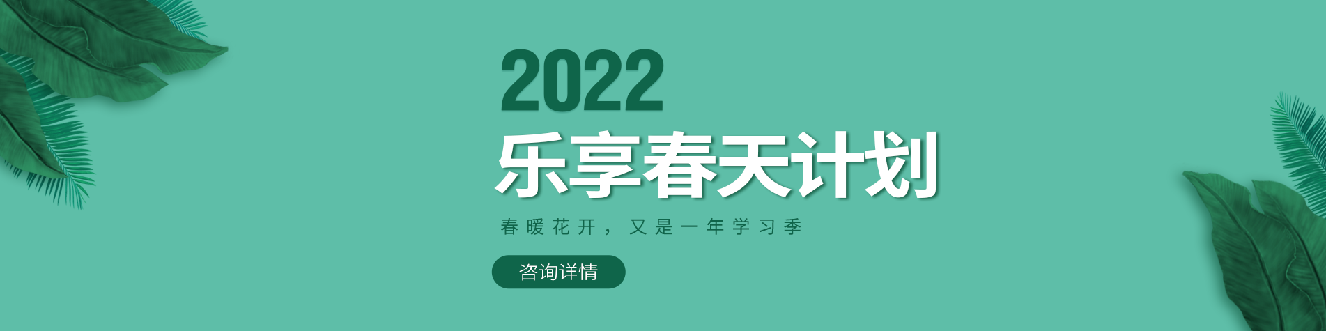 大鸡巴操大骚逼出水视频